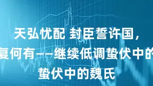 天弘忧配 封臣誓许国，愤惋复何有——继续低调蛰伏中的魏氏